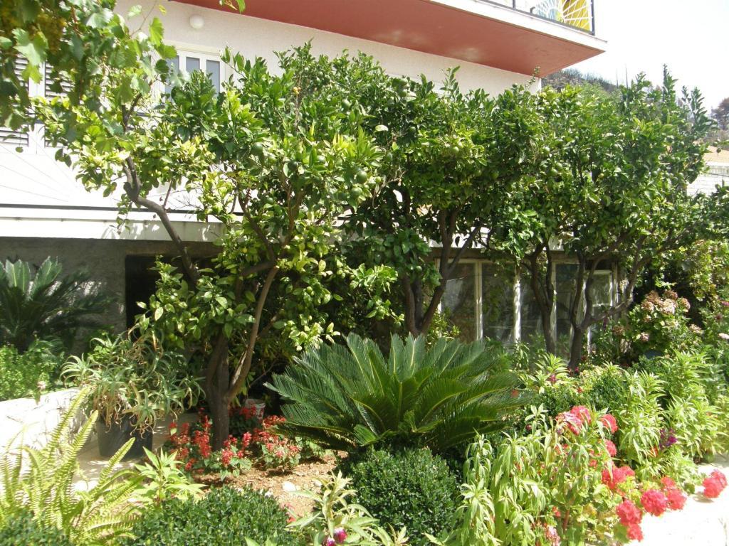 Apartments Lonza Mlini Exterior foto